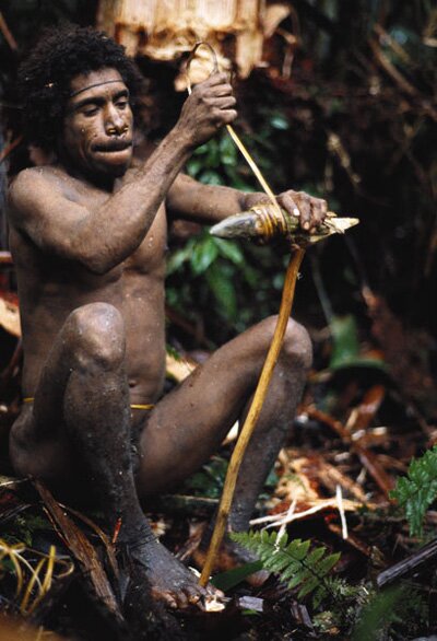 Sổ tay du lịch so tay du lich Sotaydulich Sotay Dulich Khampha Kham Pha Bui Den Indonesia gap bo lac dung nha tren cay giua rung gia
