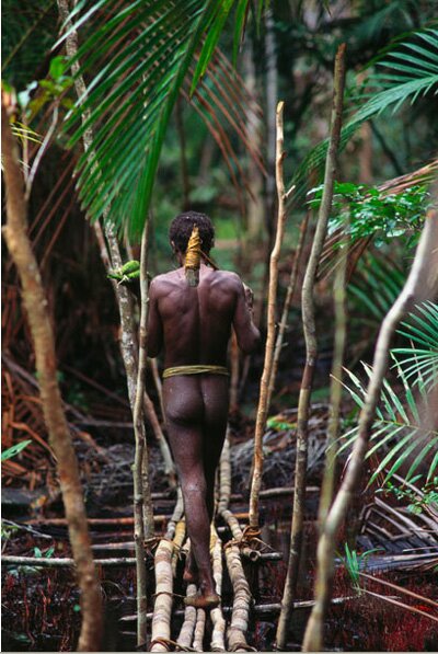 Sổ tay du lịch so tay du lich Sotaydulich Sotay Dulich Khampha Kham Pha Bui Den Indonesia gap bo lac dung nha tren cay giua rung gia