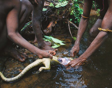 Sổ tay du lịch so tay du lich Sotaydulich Sotay Dulich Khampha Kham Pha Bui Den Indonesia gap bo lac dung nha tren cay giua rung gia