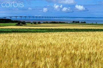Sổ tay du lịch so tay du lich Sotaydulich Sotay Dulich Khampha Kham Pha Bui Seven Miles Chia khoa xuyen dai duong