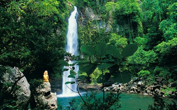 Sổ tay du lịch so tay du lich Sotaydulich Sotay Dulich Khampha Kham Pha Bui Taveuni de dep tu ngoc dao Fiji