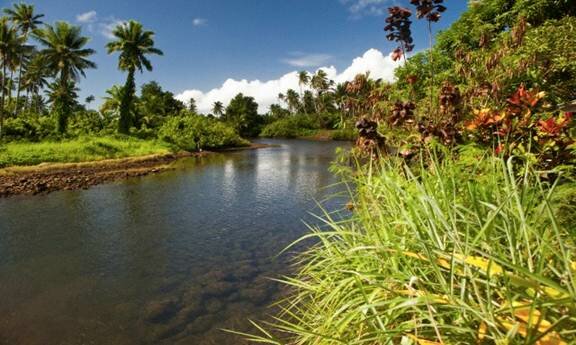 Sổ tay du lịch so tay du lich Sotaydulich Sotay Dulich Khampha Kham Pha Bui Taveuni de dep tu ngoc dao Fiji