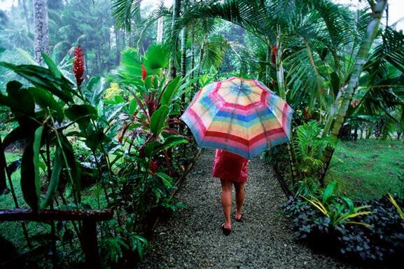Sổ tay du lịch so tay du lich Sotaydulich Sotay Dulich Khampha Kham Pha Bui Taveuni de dep tu ngoc dao Fiji