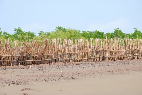 Sổ tay du lịch so tay du lich Sotaydulich Sotay Dulich Khampha Kham Pha Bui Ho Be Hoang so vung dat nam bo