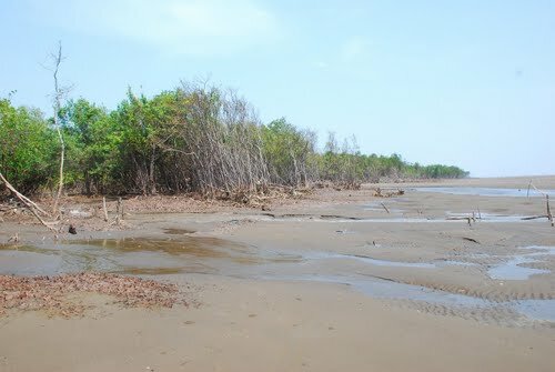 Sổ tay du lịch so tay du lich Sotaydulich Sotay Dulich Khampha Kham Pha Bui Ho Be Hoang so vung dat nam bo