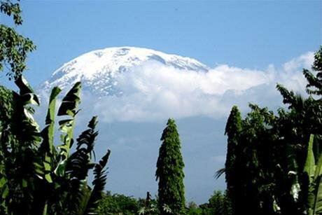 Sổ tay du lịch so tay du lich Sotaydulich Sotay Dulich Khampha Kham Pha Bui Leo nui Kilimanjaro