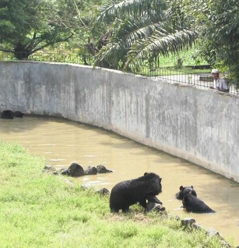  Sổ tay du lịch so tay du lich Sotaydulich Sotay Dulich Khampha Kham Pha Bui Cuoi da dieu cam nhan mien que o Vuon Xoai