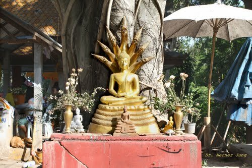  Sổ tay du lịch so tay du lich Sotaydulich Sotay Dulich Khampha Kham Pha Bui Chiang Rai e ap giua vung cao
