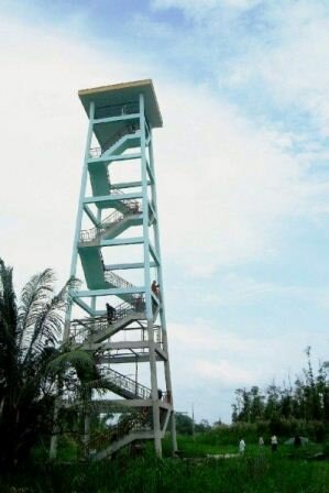 Sổ tay du lịch so tay du lich Sotaydulich Sotay Dulich Khampha Kham Pha Bui Rung U Minh Ha o dat mui Ca Mau