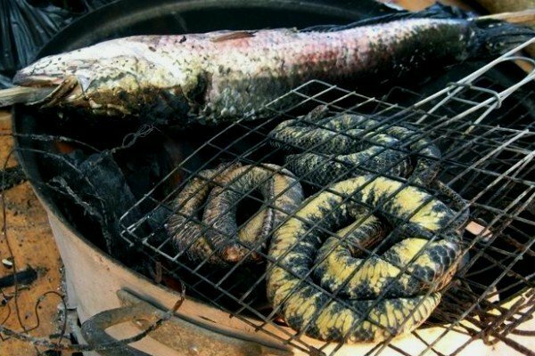 Sổ tay du lịch so tay du lich Sotaydulich Sotay Dulich Khampha Kham Pha Bui Rung U Minh Ha o dat mui Ca Mau