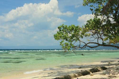 Sổ tay du lịch so tay du lich Sotaydulich Sotay Dulich Khampha Kham Pha Bui Jayapura vien dong cua Indonesia
