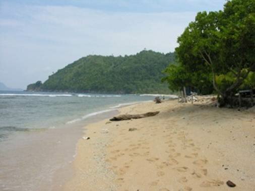 Sổ tay du lịch so tay du lich Sotaydulich Sotay Dulich Khampha Kham Pha Bui Jayapura vien dong cua Indonesia