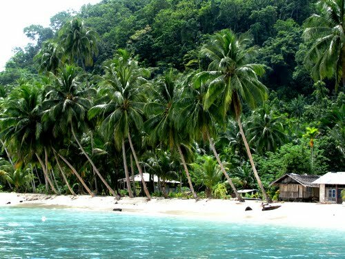 Sổ tay du lịch so tay du lich Sotaydulich Sotay Dulich Khampha Kham Pha Bui Jayapura vien dong cua Indonesia