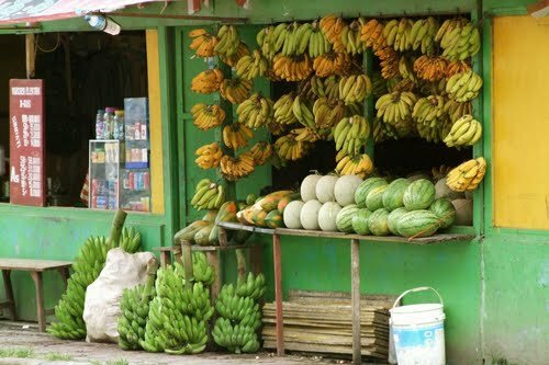 Sổ tay du lịch so tay du lich Sotaydulich Sotay Dulich Khampha Kham Pha Bui Jayapura vien dong cua Indonesia