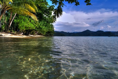 Sổ tay du lịch so tay du lich Sotaydulich Sotay Dulich Khampha Kham Pha Bui Jayapura vien dong cua Indonesia