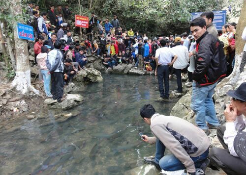  Sổ tay du lịch so tay du lich Sotaydulich Sotay Dulich Khampha Kham Pha Bui Kham pha bi an ve hang dong ca than Cam Thuy
