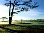  Sổ tay du lịch so tay du lich Sotaydulich Sotay Dulich Khampha Kham Pha Bui Chuong trinh trang mat Nha Trang bien xanh Cao nguyen Da Lat
