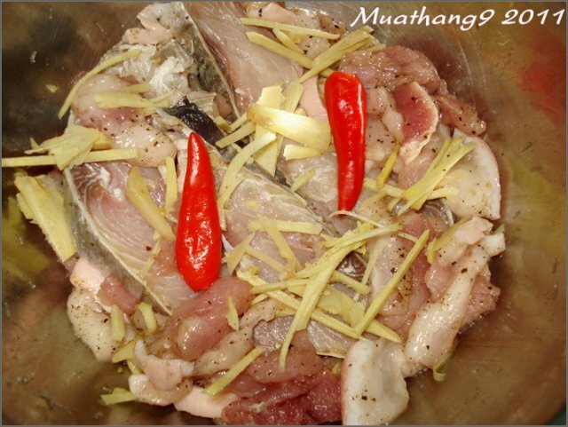 Sổ tay du lịch so tay du lich Sotaydulich Sotay Dulich Khampha Kham Pha Bui Mam ca thu chung thi ba roi