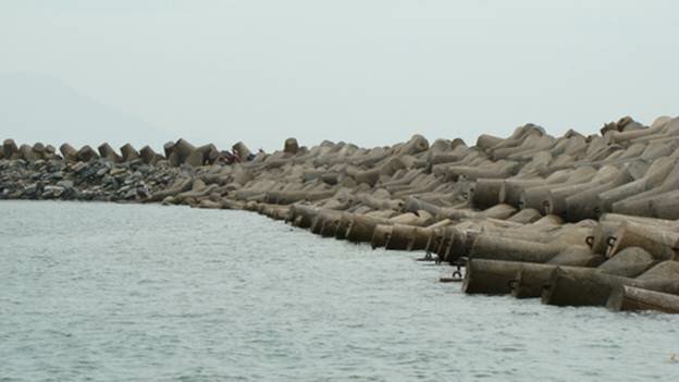  Sổ tay du lịch so tay du lich Sotaydulich Sotay Dulich Khampha Kham Pha Bui Cau ca dan da noi bo de