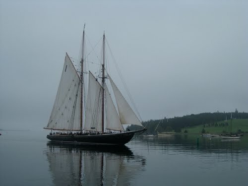 Sổ tay du lịch so tay du lich Sotaydulich Sotay Dulich Khampha Kham Pha Bui Dong thuyen Lunenburg Nang tien ca giua dai duong