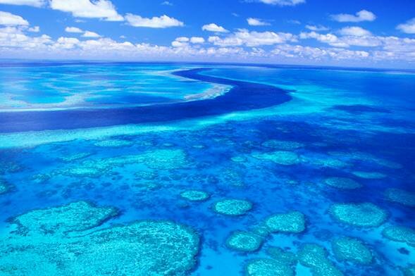 Sổ tay du lịch so tay du lich Sotaydulich Sotay Dulich Khampha Kham Pha Bui Great Barrier mot tuyet tac cua thien nhien