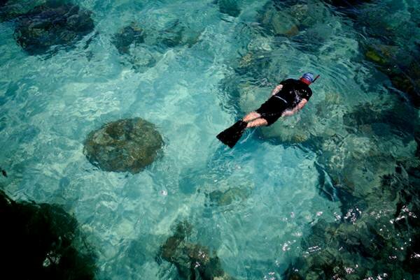 Sổ tay du lịch so tay du lich Sotaydulich Sotay Dulich Khampha Kham Pha Bui Great Barrier mot tuyet tac cua thien nhien