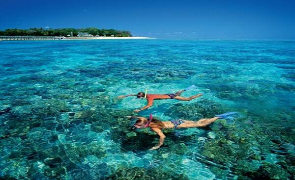 Sổ tay du lịch so tay du lich Sotaydulich Sotay Dulich Khampha Kham Pha Bui Great Barrier mot tuyet tac cua thien nhien