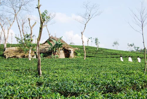  Sổ tay du lịch so tay du lich Sotaydulich Sotay Dulich Khampha Kham Pha Bui Doi che tho mong ben duong mon Ho Chi MInh