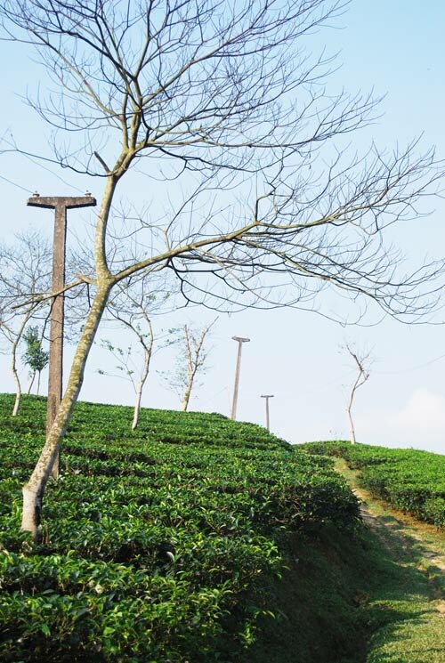  Sổ tay du lịch so tay du lich Sotaydulich Sotay Dulich Khampha Kham Pha Bui Doi che tho mong ben duong mon Ho Chi MInh