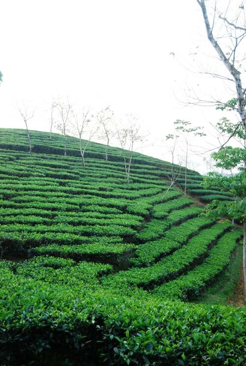  Sổ tay du lịch so tay du lich Sotaydulich Sotay Dulich Khampha Kham Pha Bui Doi che tho mong ben duong mon Ho Chi MInh