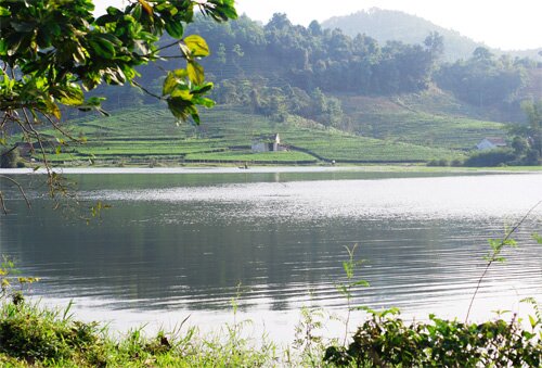 Sổ tay du lịch so tay du lich Sotaydulich Sotay Dulich Khampha Kham Pha Bui Doi che tho mong ben duong mon Ho Chi MInh