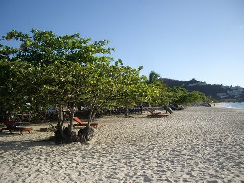 Sổ tay du lịch so tay du lich Sotaydulich Sotay Dulich Khampha Kham Pha Bui Grand Anse khong chi la de tam
