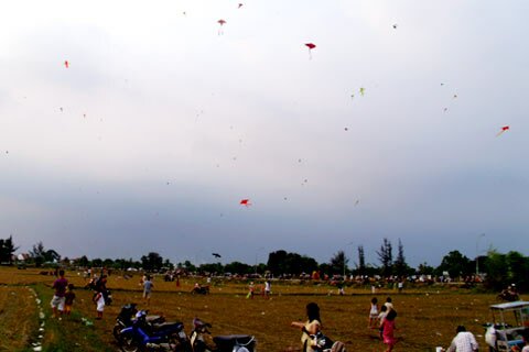 Sổ tay du lịch so tay du lich Sotaydulich Sotay Dulich Khampha Kham Pha Bui Canh dong dieu giua TPHCM
