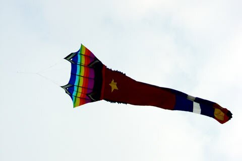 Sổ tay du lịch so tay du lich Sotaydulich Sotay Dulich Khampha Kham Pha Bui Canh dong dieu giua TPHCM