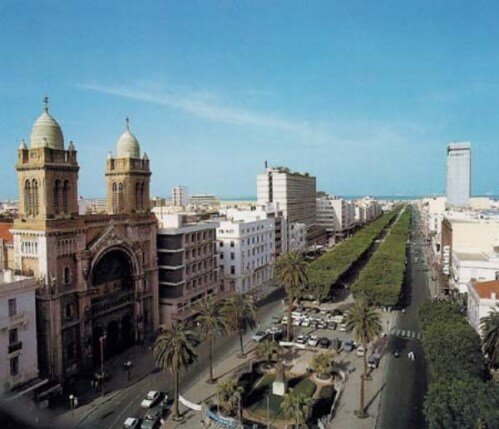 Sổ tay du lịch so tay du lich Sotaydulich Sotay Dulich Khampha Kham Pha Bui tan huong ky nghi o Tunisia