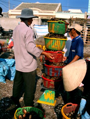 Sổ tay du lịch so tay du lich Sotaydulich Sotay Dulich Khampha Kham Pha Bui Cho so Ha Thuy