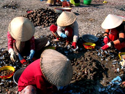 Sổ tay du lịch so tay du lich Sotaydulich Sotay Dulich Khampha Kham Pha Bui Cho so Ha Thuy