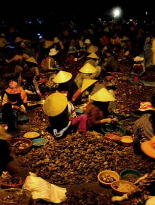 Sổ tay du lịch so tay du lich Sotaydulich Sotay Dulich Khampha Kham Pha Bui Cho so Ha Thuy