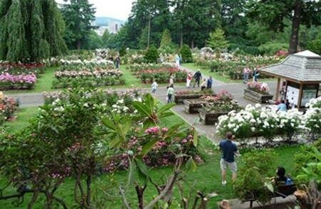 Sổ tay du lịch so tay du lich Sotaydulich Sotay Dulich Khampha Kham Pha Bui Ruc ro Vuon hong Portland