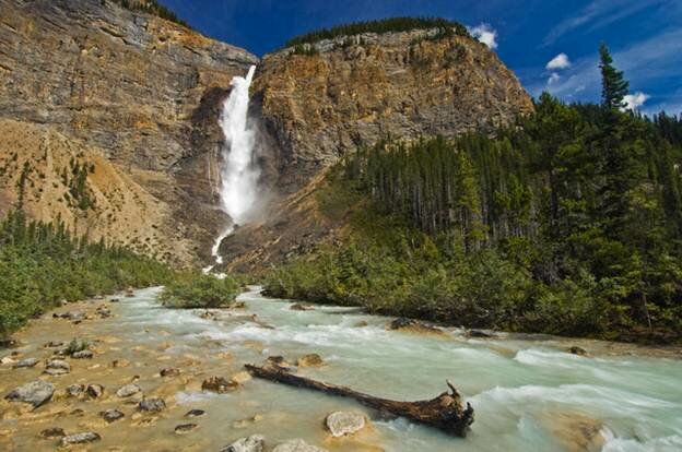 Sổ tay du lịch so tay du lich Sotaydulich Sotay Dulich Khampha Kham Pha Bui Tour kham pha gau Grizzly tu Banff