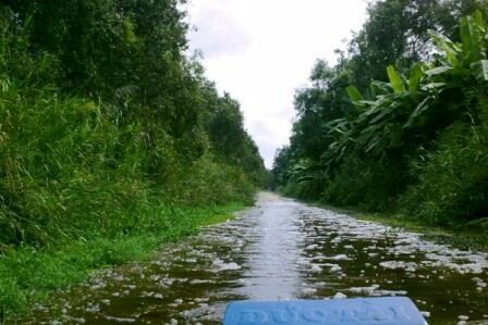 Sổ tay du lịch so tay du lich Sotaydulich Sotay Dulich Khampha Kham Pha Bui Huong rung U Minh