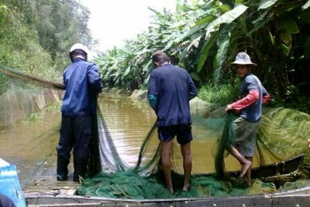 Sổ tay du lịch so tay du lich Sotaydulich Sotay Dulich Khampha Kham Pha Bui Huong rung U Minh