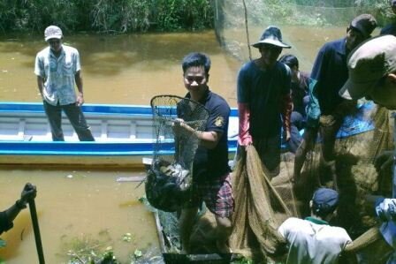 Sổ tay du lịch so tay du lich Sotaydulich Sotay Dulich Khampha Kham Pha Bui Huong rung U Minh