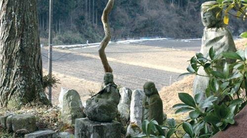 Sổ tay du lịch so tay du lich Sotaydulich Sotay Dulich Khampha Kham Pha Bui Maruyama lang hap hoi