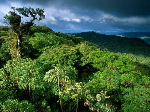  Sổ tay du lịch so tay du lich Sotaydulich Sotay Dulich Khampha Kham Pha Bui Nhung diem hap dan o Costa Rica