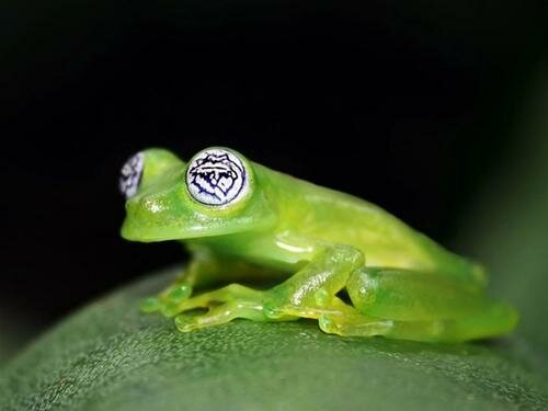  Sổ tay du lịch so tay du lich Sotaydulich Sotay Dulich Khampha Kham Pha Bui Nhung diem hap dan o Costa Rica