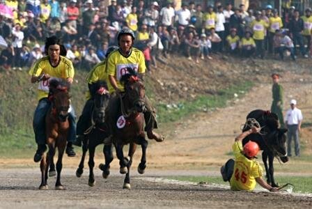 Sổ tay du lịch so tay du lich Sotaydulich Sotay Dulich Khampha Kham Pha Bui xem dua ngua o Bac Ha