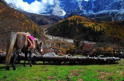 Sổ tay du lịch so tay du lich Sotaydulich Sotay Dulich Khampha Kham Pha Bui Ve mien tay Trung Quoc
