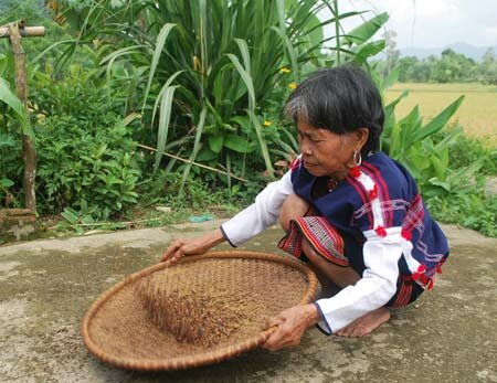 Sổ tay du lịch so tay du lich Sotaydulich Sotay Dulich Khampha Kham Pha Bui Thuong thuc moi dat tren dinh Truong Son