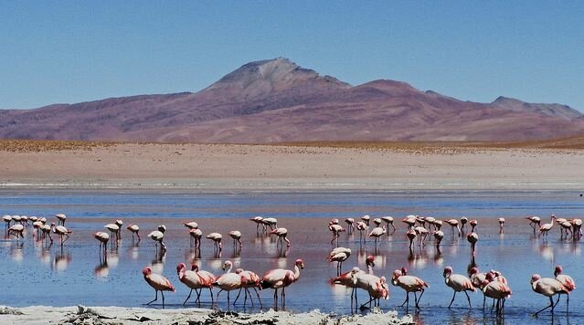 Sổ tay du lịch so tay du lich Sotaydulich Sotay Dulich Khampha Kham Pha Bui Uyuni man ma giua cao nguyen